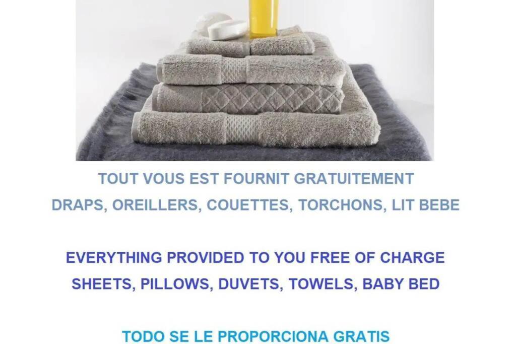 Charmant T2 En Coeur De Ville - 2 Lits + Lit Bebe - Wifi - Imprimante 卡尔卡松 外观 照片